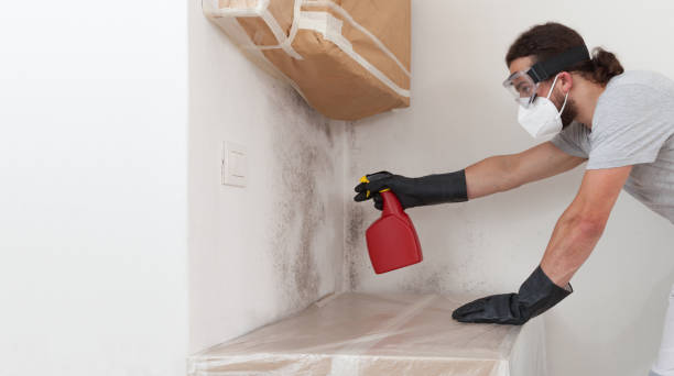 Professional Bathroom Mold Removal technician working in White Marsh, MD